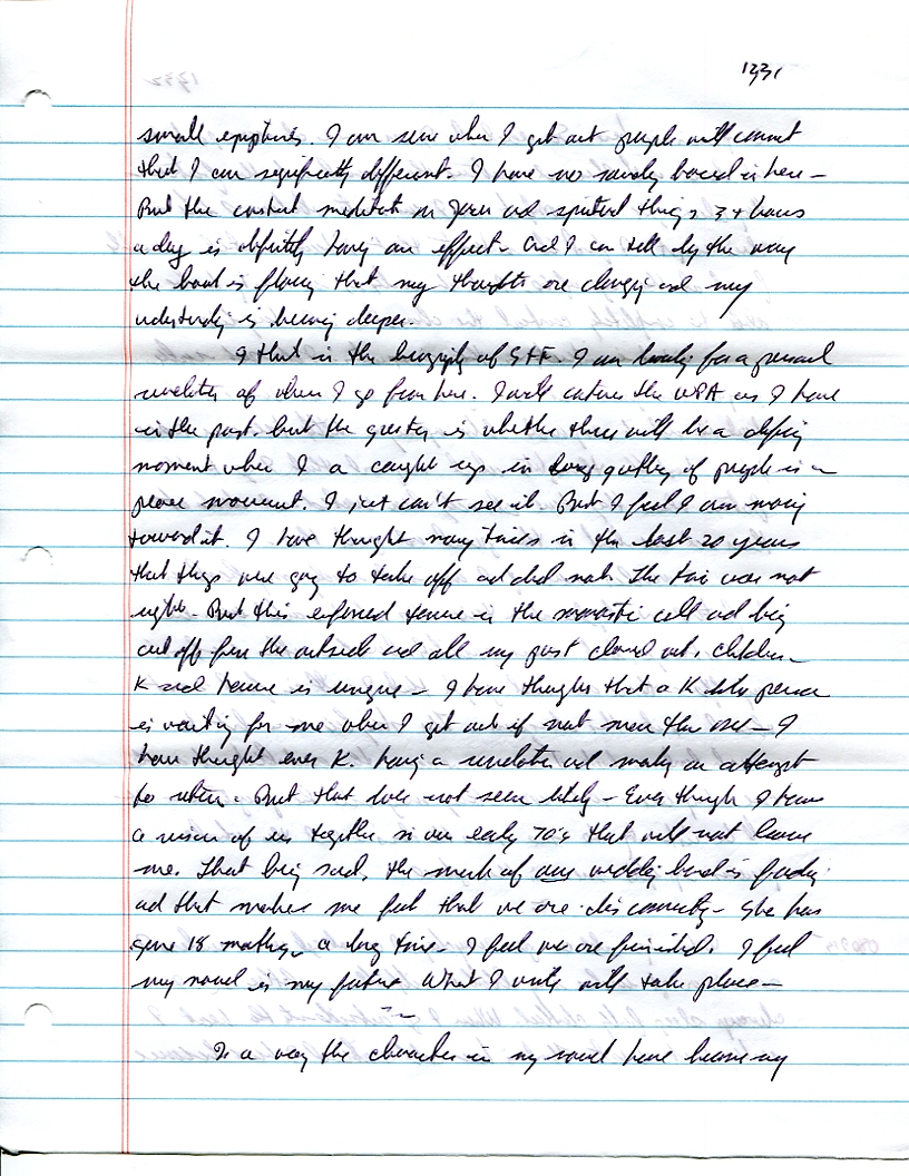 Dr John WorldPeace 2008 Prison Journal